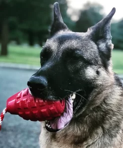 German Shepard happily holding one of the soda pup tug and chew grenade toys in red, size large